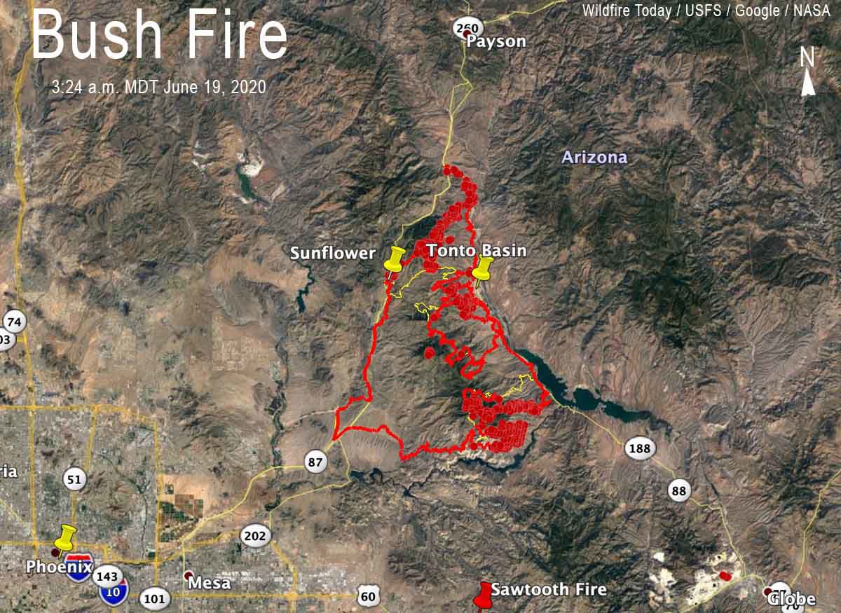 Bush Fire